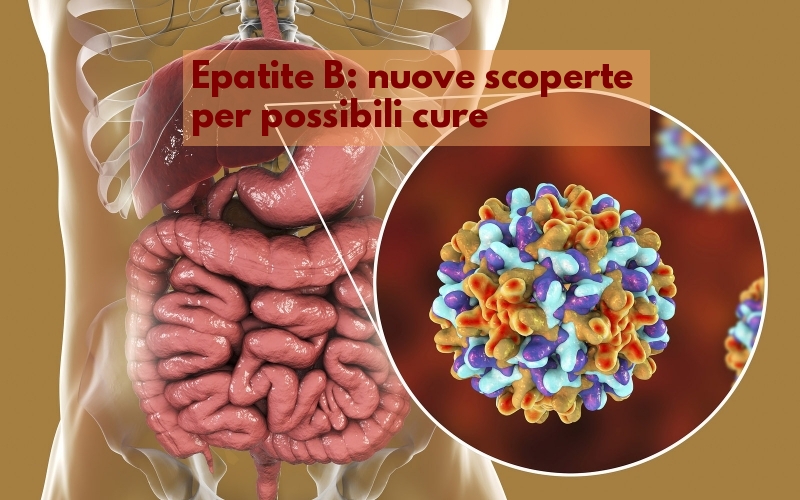 Epatite B nuove scoperte per cure