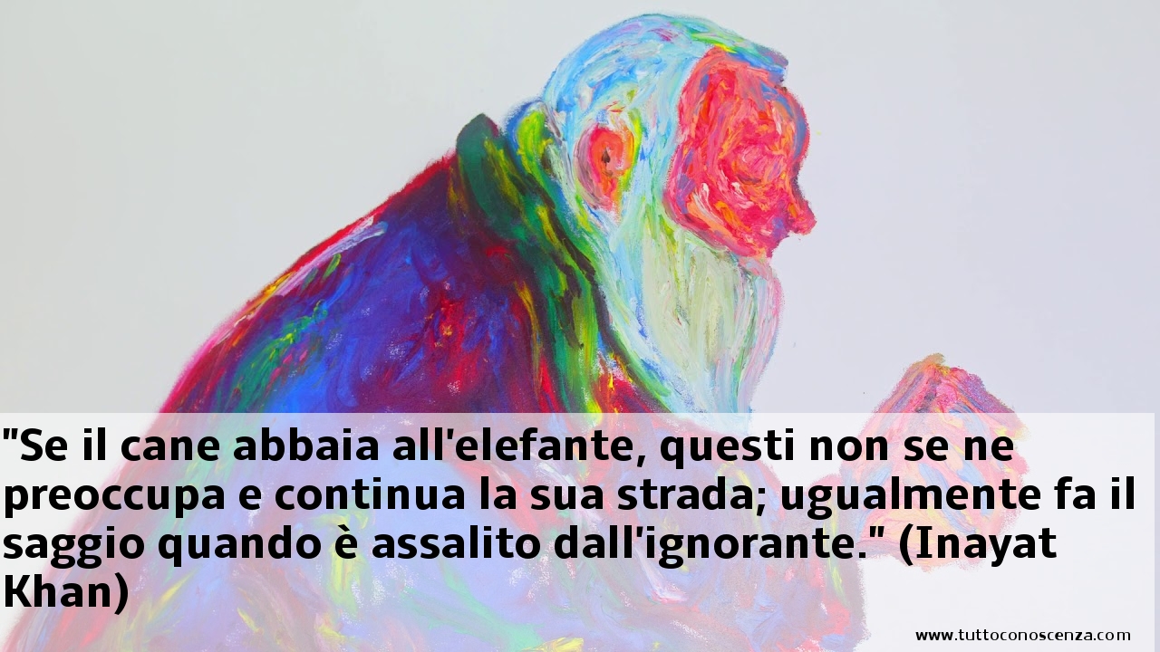 Aforismi E Frasi Sulla Saggezza Tutto E Conoscenza Blog News It From Bit