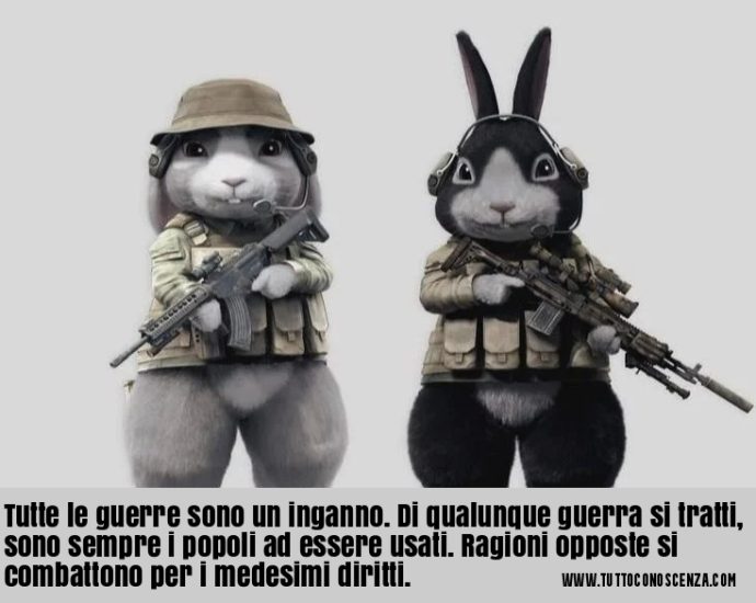 Frase del giorno guerra popoli conigli