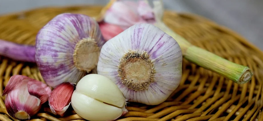 Come consumare l'aglio per abbassare colesterolo