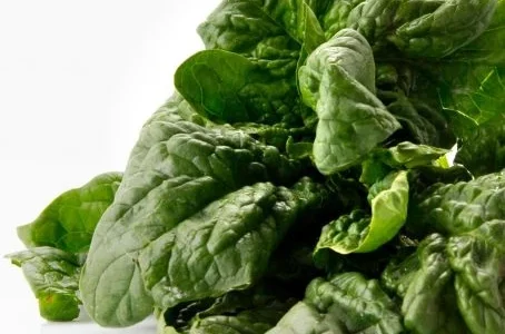 Richiamo alimentare spinaci freschi rischio chimico mandragola